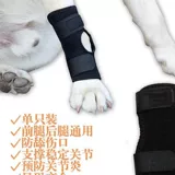 Домашние кошки и собака задних ног слабые переломы суставов Старожи