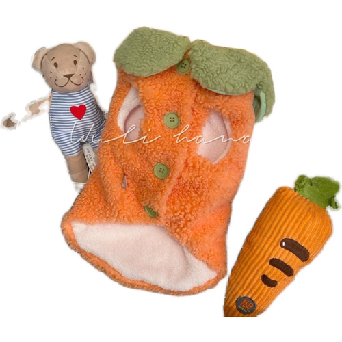 Демисезонный флисовый милый морковный жилет, увеличенная толщина