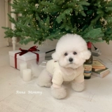 Домашний кошка и собака сгущенным меховым воротником осенью и зимним теплым хлопковым пальто