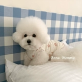 Одежда для любимой собаки базовая футболка для футболка