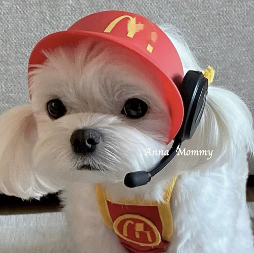 Собака Макдональдс, кошка, кошка Макдональдс