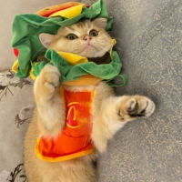 Meow Dang Lao Bib S (рекомендуется быть в пределах 8 фунтов)