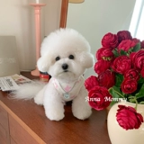 Одежда для любимой собаки базовая футболка для футболка