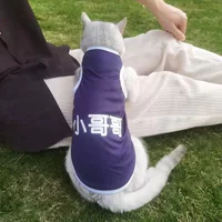 Маленький брат [летняя тонкая модель]