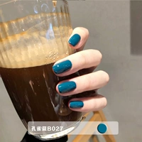 Peacock Blue B027 12ml