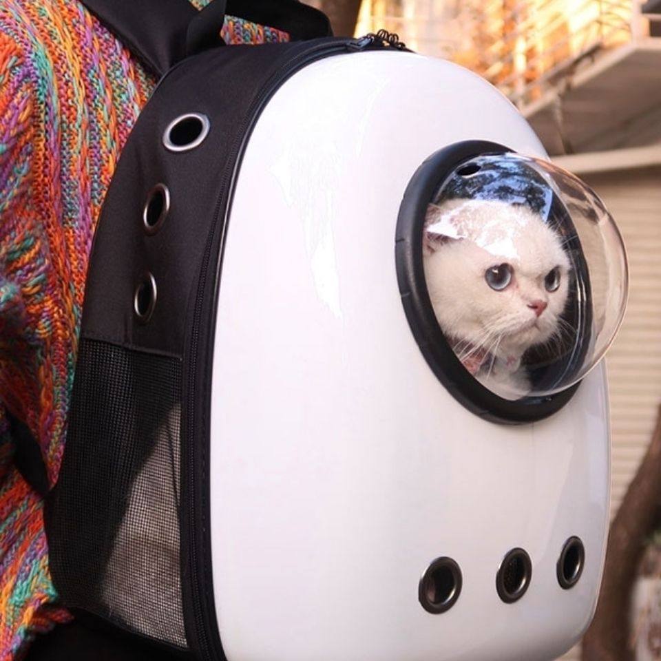 双肩包宠物包太空舱猫包大容量狗包透气背包(热品库)