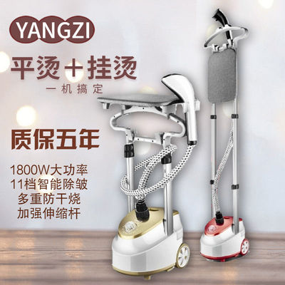 蒸汽挂烫机家用迷你小型新款熨烫衣服的电熨斗干湿两用熨烫机神器