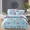 Mùa hè đặc biệt bốn mảnh cotton cotton bed bed bed bed cover 1.2 1.5 1.8 2 m bộ đồ giường - Váy Petti