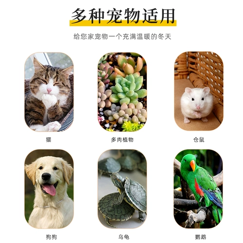 Коляска куриная проволока фонарь попугай теплый свет лазание по радио