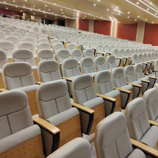 Кресла для кинотеатров 连排礼堂椅折叠带写字板学校报告厅会议阶梯电影院座椅剧院椅子