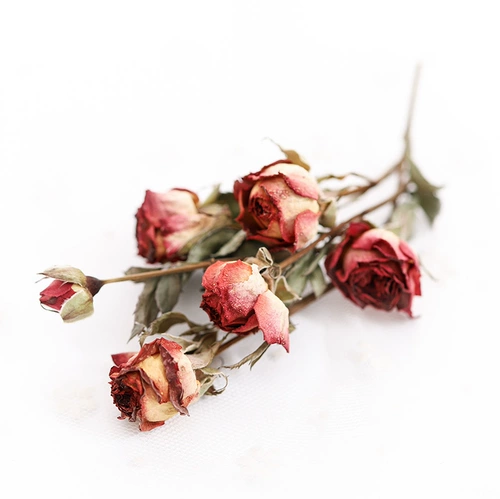 Mang Yan Mini Rose Little Rose Diy цветочный материал ручной