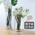 bình cắm hoa gốm sứ Bình nhựa chống rơi PC thủy tinh trong suốt không acrylic hình trụ hình trụ nuôi cấy nước phong phú chậu hoa tre chau nhua trong cay Vase / Bồn hoa & Kệ