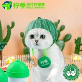 Seasonal Limited Midumidu Lemon Season Season Top Top -呱 Hearset Hearset Awrmelon Catt Cat