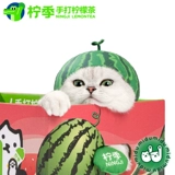 Seasonal Limited Midumidu Lemon Season Season Top Top -呱 Hearset Hearset Awrmelon Catt Cat