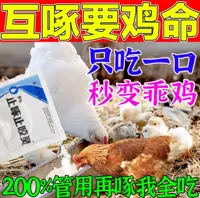 [Укус укуса и клевание] Птица с курицей, уткой и гусиными голубями, борьба, анти -хитро