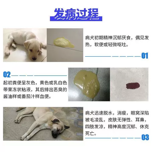 Собаки, тянущие к крови рвота, вытаскивание дромов дхармы Делома Гранд мягкая крови плазма Плазма боли кошка кошка кошка кошка