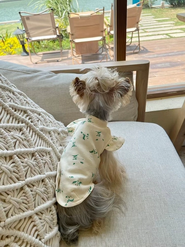 Сяотанская кара корейская версия весенней и летней одежды, шнурок с маленьким рукавом, собака и кошачья одежда мальцис -инжишсии и кошачья одежда