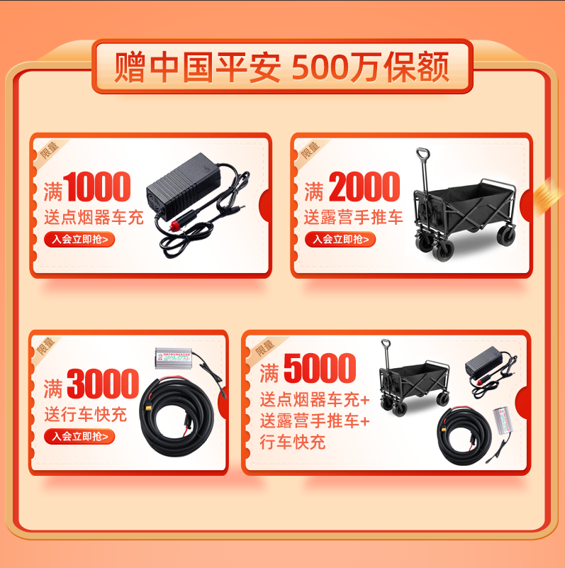 Емкая походная сеть питания, 220В