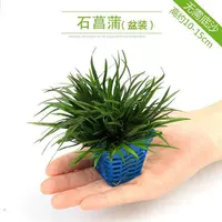 Shichang Pu (автоматическое погружение)