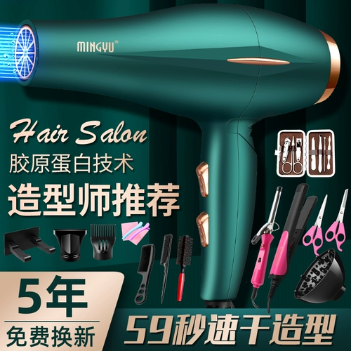 Housekeeper Labberry Housekeeper, посвященная высокой мощностью 3000 отрицательных ионов, горячие и холодные волосы, одеяло для волос, большая ветровая сила