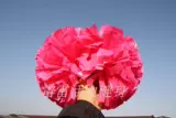 La La Flower Ball Double -Heded Professional Professional Gymnast Dance Ball Ball La La Team Color Ball Game