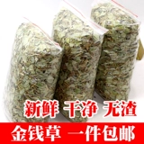 Дикий большой лист деньги сушеные из каменного каменного китайского травяного травяного камня китайская травяная медицина бесплатная судоходство