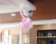 Love Model-Silver Balloon+шелк дождя