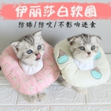 Элизабет кошка кошка горькая и облизывая, с учетом мягких рук кошка кошка и домашние животные поглощают стыд стыд Круг мягкий круг