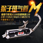 Gr125 Jin Li Xun Ying chiến đấu như Fuk Hei WISP Lưới rsz sửa đổi ống xả khỉ bằng sắt trắng bằng sợi carbon - Ống xả xe máy