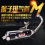 Gr125 Jin Li Xun Ying chiến đấu như Fuk Hei WISP Lưới rsz sửa đổi ống xả khỉ bằng sắt trắng bằng sợi carbon - Ống xả xe máy bô xe máy exciter 150