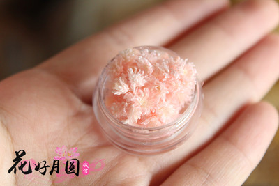 taobao agent Japan's Farm imported eternal flower cloar velvet flower DIY jewelry accessories are really dry flowers