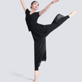 Спортивные штаны, танцующая современная классическая демисезонная юбка, свободный прямой крой