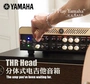 Yamaha Yamaha THR112 hộp chia tách hộp đàn guitar THR100H HD - Loa loa loa thanh lg