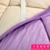 Beauty salon nệm giường, bảo vệ pad massage mat quilt lõi quilt trượt non-slip dày chất lượng nệm nệm giá kho Nệm