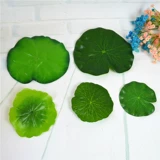 Колготки, цветок лотоса, шлем, трубчатый манжет, «сделай сам», лягушка