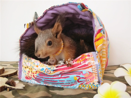 Продукты белки, мой сосед Totoro Squirrels Parrot Products Four Seasons General Midmoring Nest, лето, осень и зима Общая площадка
