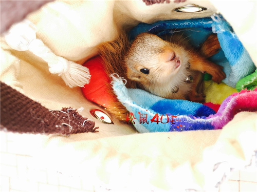 Одеяло, подушка, удерживающая тепло ткань