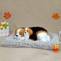 Бамбуковая уголь мать и детская версия мигру Мать Спящий Сын Спинчался