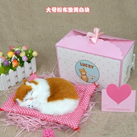 Большая __ Порошковая тканевая колодка Желтая и белая спящая кошка -с подарочной коробкой с подарочной коробкой