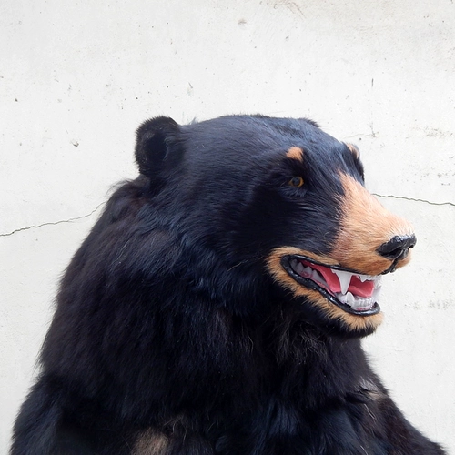 Реалистичная модель животного, фигурка