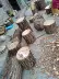 Gỗ rắn khối gỗ nguyên chất băng ghế hoa đứng trang trí gốc khắc phân phù hợp với gỗ gỗ pier bàn cà phê phân gốc cây - Các món ăn khao khát gốc
