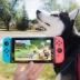 Thuê trò chơi bảng điều khiển Nintendo SwitchNS cộng với trò chơi cho thuê nhà du lịch Kiểm soát trò chơi