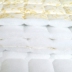 Mùa đông và mùa hè kép sử dụng gấp nước rửa Royal Fuji Hàn Quốc nệm đơn sinh viên đôi ký túc xá 褥 包邮 大学生 大学生 Nệm