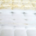 Mùa đông và mùa hè kép sử dụng gấp nước rửa Royal Fuji Hàn Quốc nệm đơn sinh viên đôi ký túc xá 褥 包邮 大学生 大学生