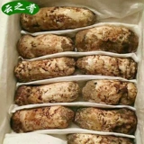 Пребиотик из провинции Юньнань, лампа для продуктов, 500 грамм, 5-7см