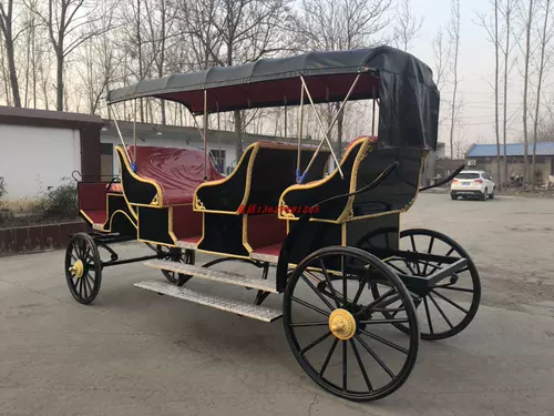 Продажа изысканной туристической туристической перевозки в стиле европейского стиля настоящая каретка живописные места, туристический туризм, туристический свадебный прием пищи.
