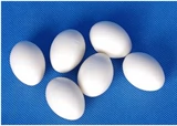 Голубь сплошные фальшивые яйцо -кредит голубей