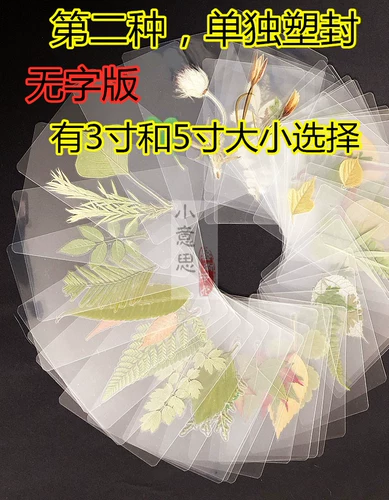 Школьный образец для раннего возраста, наклейки ручной работы, семейный стиль, в цветочек