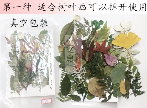 Школьный образец для раннего возраста, наклейки ручной работы, семейный стиль, в цветочек