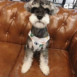 Одежда для любимой собаки летнее платье Снежное плюшевое жилет